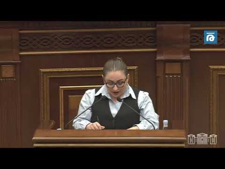 Առողջապահության ապահովագրական համակարգի նախագիծը բերել եք նախընտրական տրամաբանություն, այլ պատճառ չկա. Քրիստինե Վարդանյան