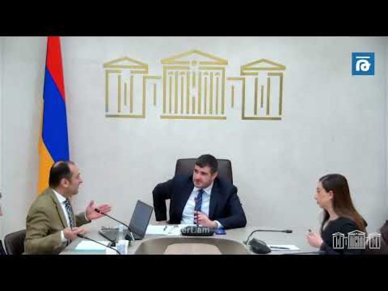 Կառավարության ոչ մի առաջարկ չեք ընդունու՞մ, նախաբանը չենք հանելու. ԵՄ անդամակցության քննարկում՝ ԱԺ-ում